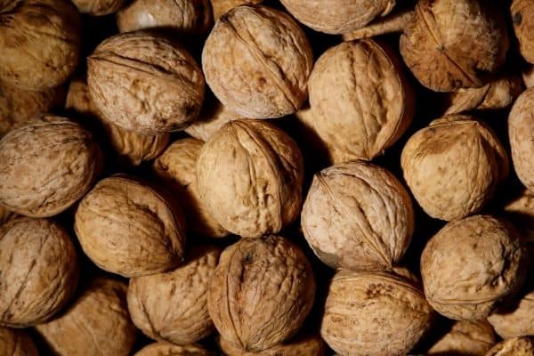 do cockatiels love walnuts