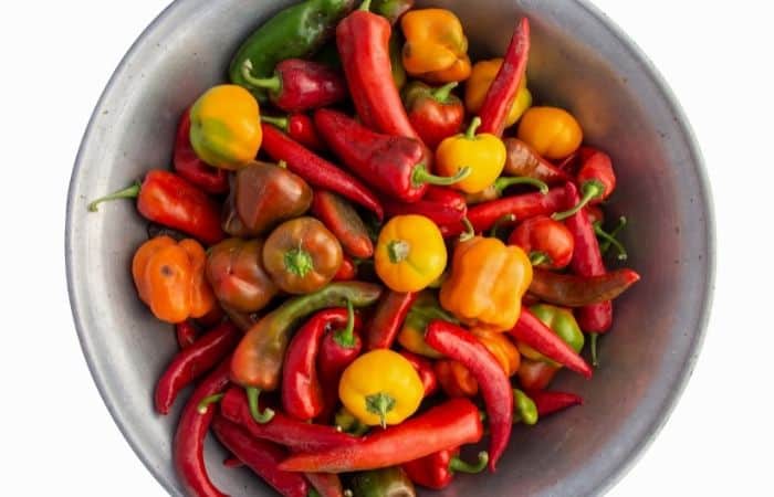 what kinds of peppers can parrots eat