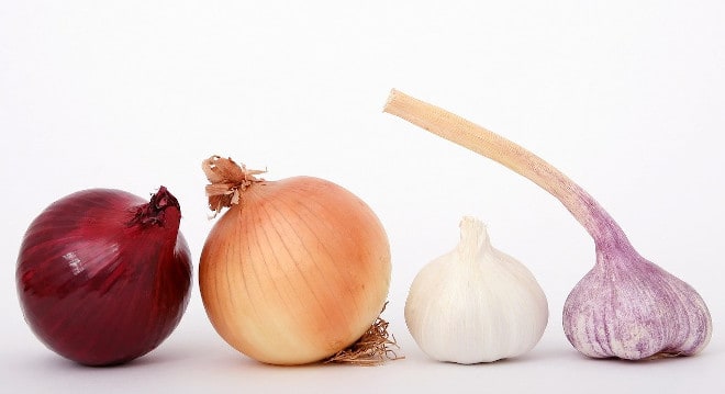 onions and garlic are toxic to birds