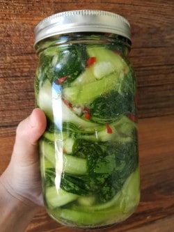 can parrots eat pickled bok choy