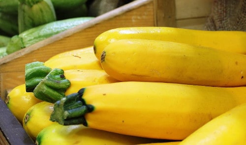can parrots eat raw yellow squash