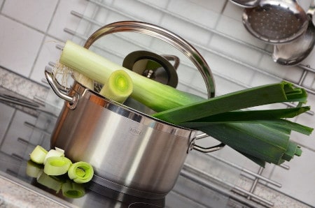 can parrots eat cooked leeks