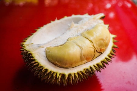 can parrots eat durian seeds