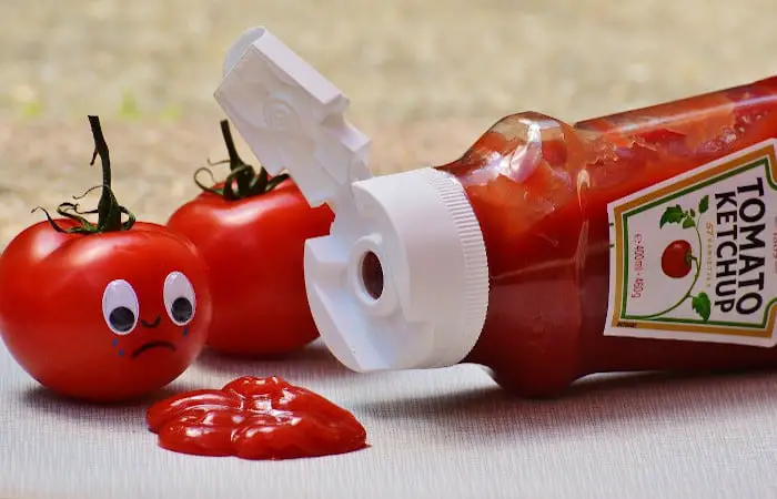 can parrots eat ketchup