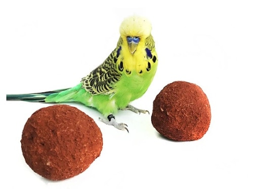 are parrot nutrition clay minerals balls beneficial for parrots