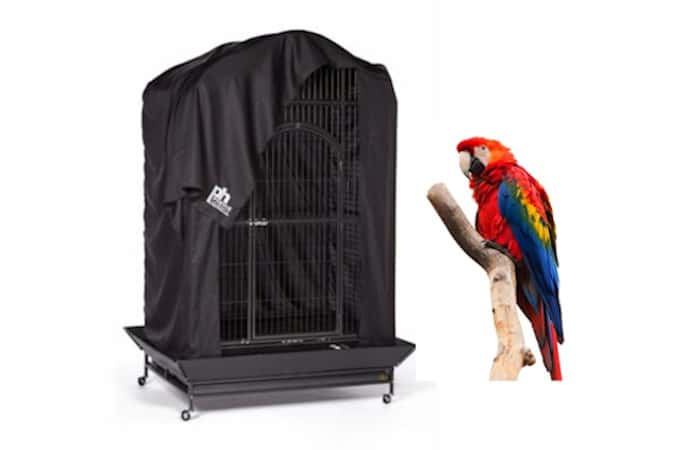 should you cover your parrot cage at night