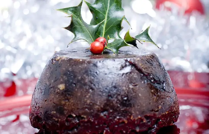 can parrots eat christmas pudding